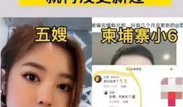 网红爆料五嫂视频大全集,网红爆料背后的精彩瞬间